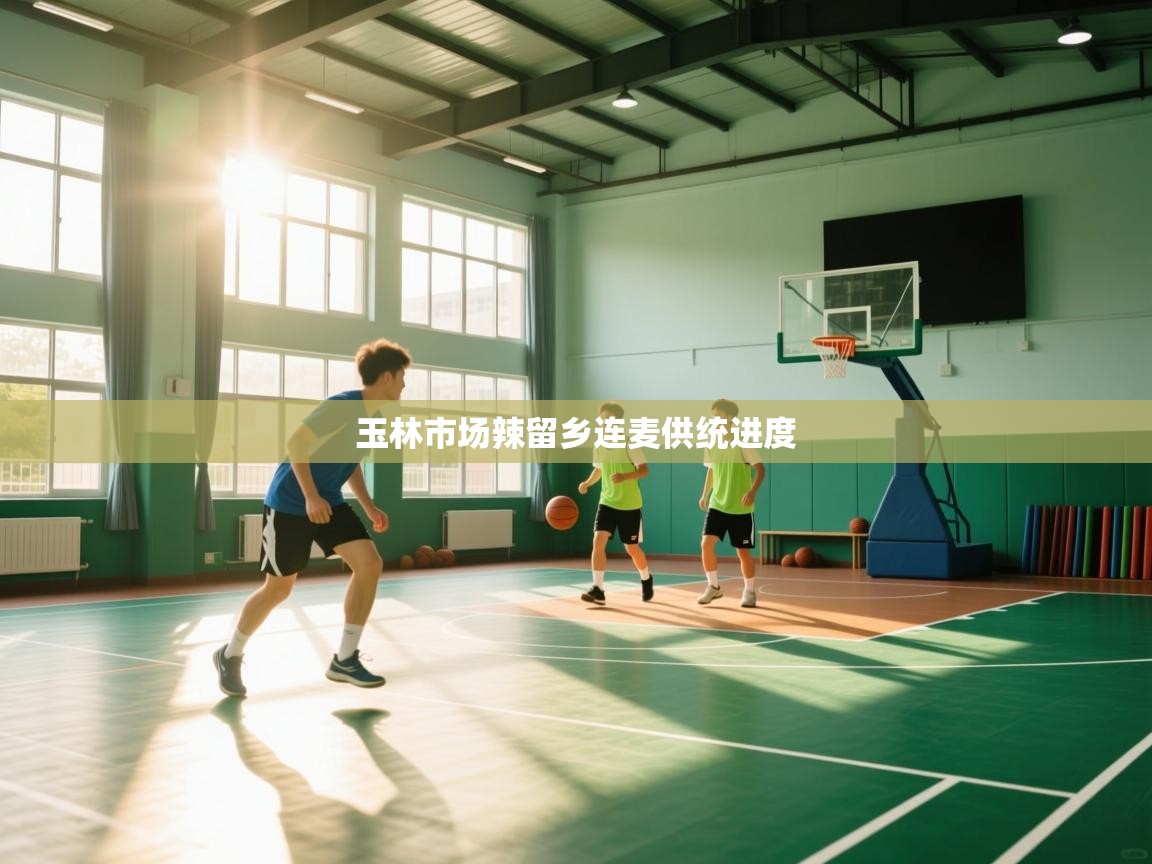 玉林市场辣留乡连麦供统进度