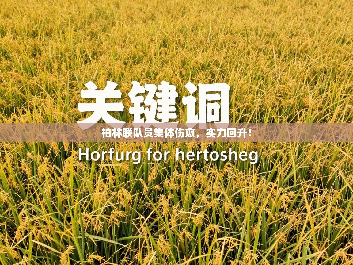 柏林联队员集体伤愈，实力回升！