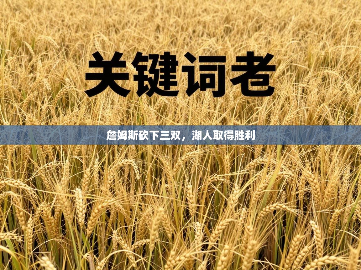 詹姆斯砍下三双，湖人取得胜利  第2张