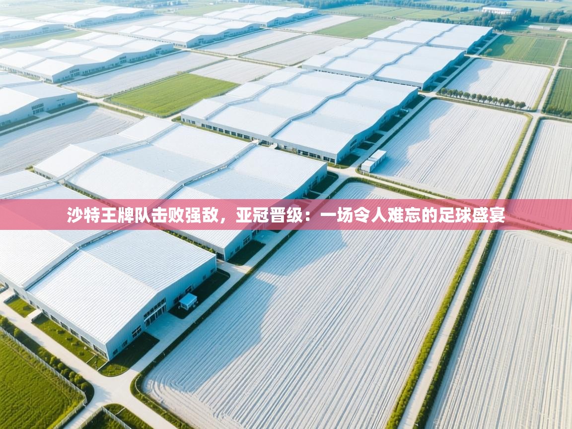 沙特王牌队击败强敌，亚冠晋级：一场令人难忘的足球盛宴  第1张